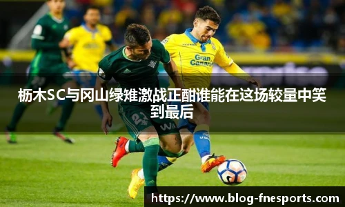 枥木SC与冈山绿雉激战正酣谁能在这场较量中笑到最后