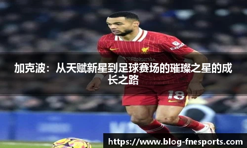加克波：从天赋新星到足球赛场的璀璨之星的成长之路